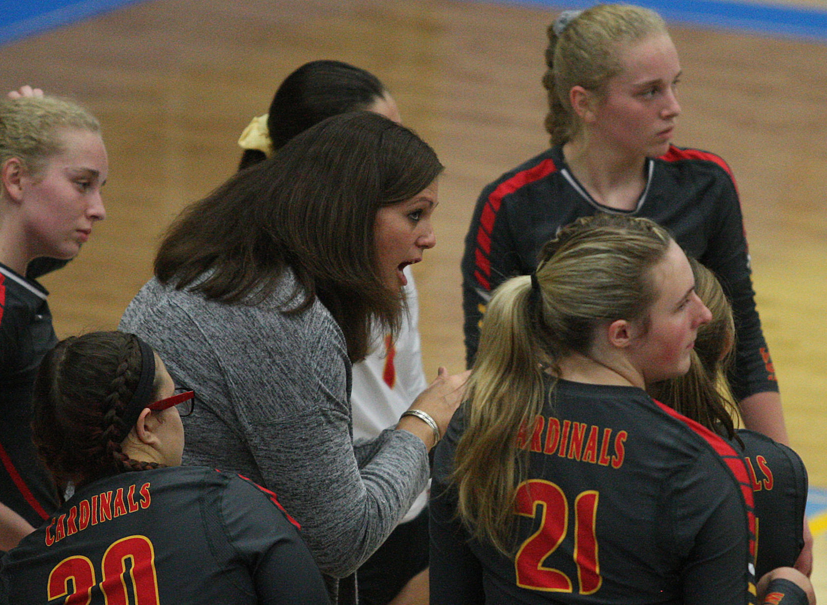 AO vs WL volleyball 28 10.23.17.jpg